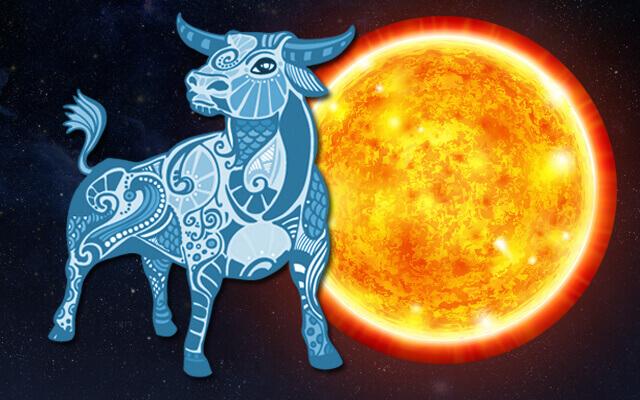 Sol e ilustração de um touro