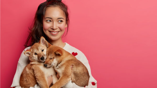 mulher abraçando com carinho dois cães