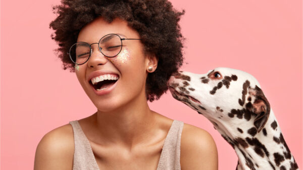 Mulher feliz com cão dálmata a cheirarando e mostrando devoção, isolados no fundo rosa. Mulher alegre com animal de estimação favorito. Pessoa e animal.