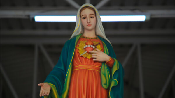imagem de nossa senhora das dores