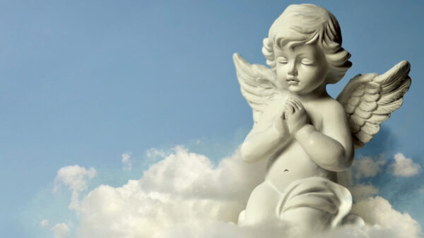 anjo da guarda