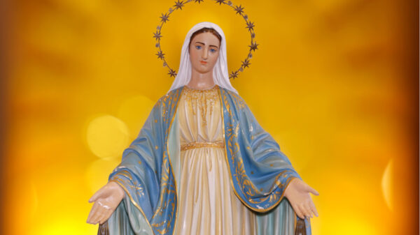 imagem de nossa senhora das graças