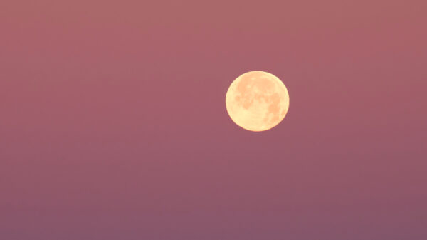 lua