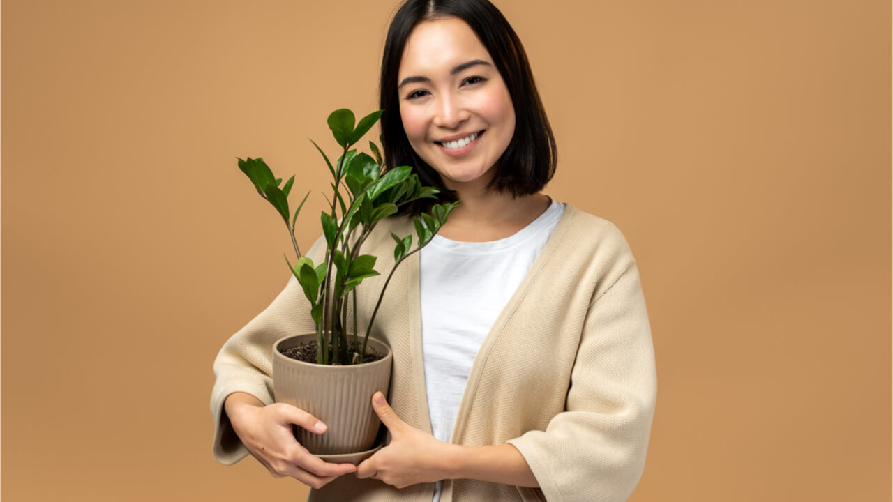 Mulher segurando planta em fundo bege. Garota feliz posando com planta em pano de fundo isolado.