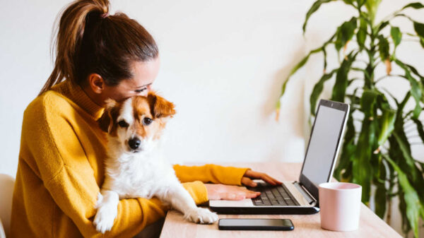 mulher em casa segurando um cachorro e trabalhando no notebook