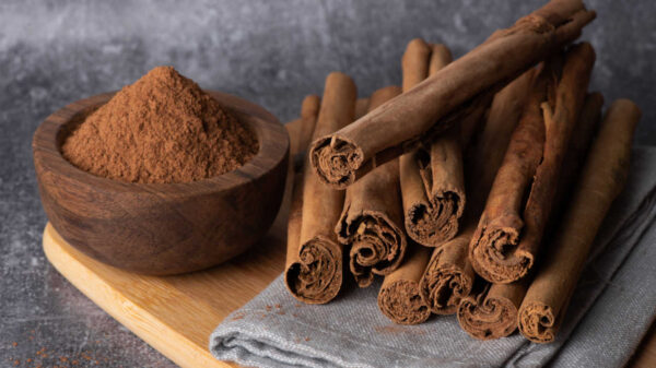 canela em pó e canela em pau