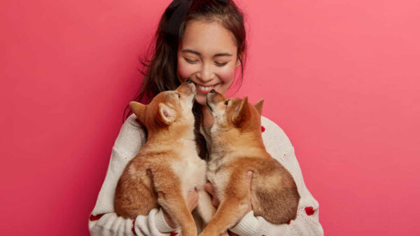 Mulher alegre recebendo beijinhos de dois filhotes de cachorro.