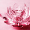 flor de cristais