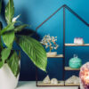 sala de estar com a parede na cor azul. há plantas e cristais em cima da mesa