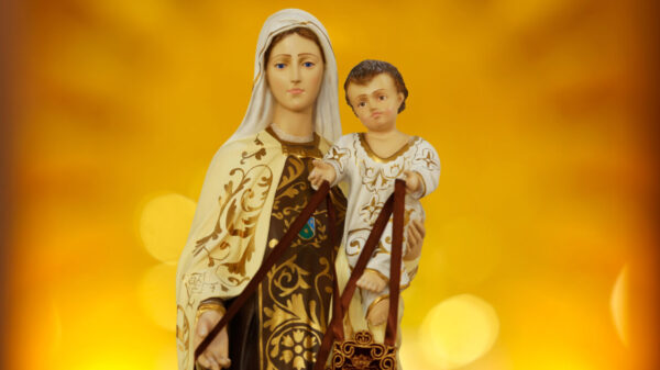 imagem de nossa senhora do carmo