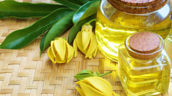 flores e óleo essencial de ylang ylang em um cesto tipo madeira