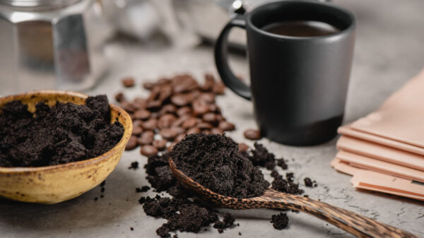 Grãos de café em uma colher de pau.