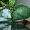 pedra jade em cima de uma mesa de vidro