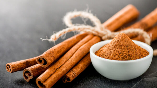 paus de canela e pote branco com canela em pó em cima de uma mesa cinza