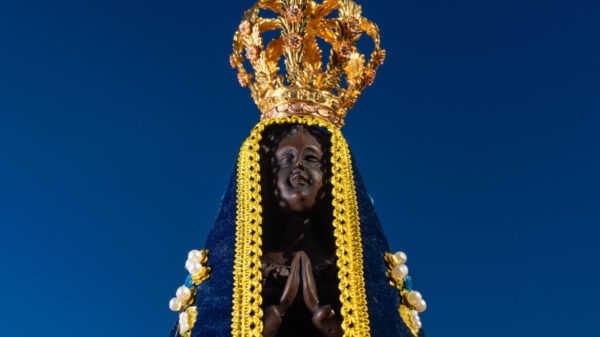 imagem de nossa senhora aparecida em fundo azul escuro