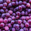 uvas