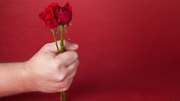 Buquê de rosas vermelhas na mão de um homem, sobre um fundo vermelho.