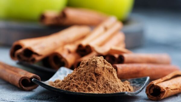 imagem de um pote de canela em pó com canela em pau no fundo desfocado