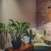 fotografia do canto de uma sala de estar mostrando o abajur a planta e uma poltrona verde