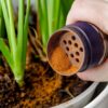 canela em pó sendo colocada em um vaso com planta