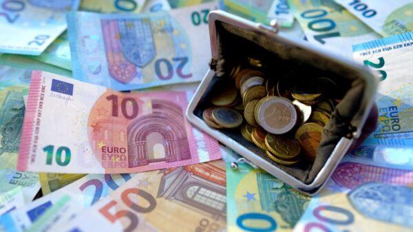 imagem preenchida por notas de euro e uma bolsinha aberta com moedas de euro