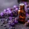 Aromaterapia: 6 óleos essenciais para ter em casa