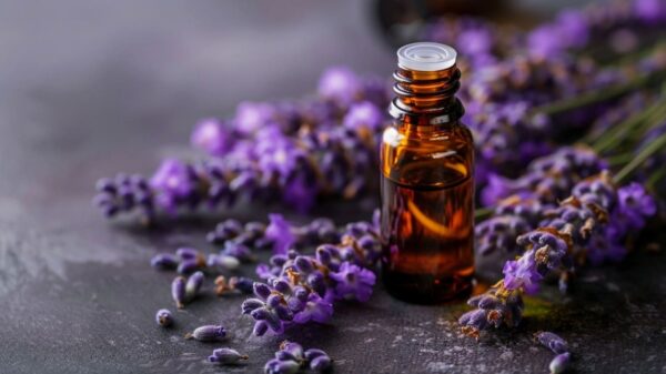 Aromaterapia: 6 óleos essenciais para ter em casa