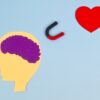 imagem desenhada de uma cabeça e um cérebro roxo um imã no meio atraindo um coração vermelho em fundo azul