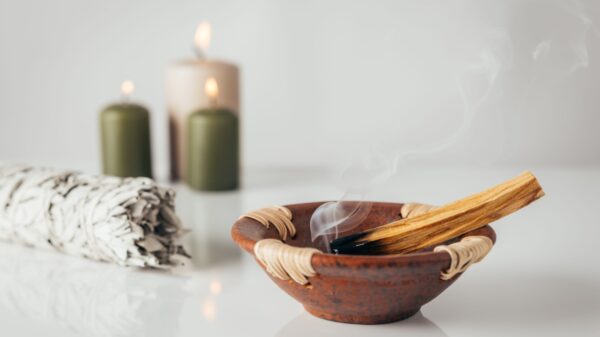 Palo Santo: saiba como utilizá-lo para proteção e equilíbrio espiritual