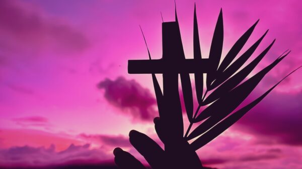 silhueta de uma cruz e um ramo em um fundo de céu roxo