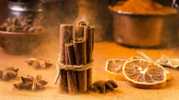 Tenha um mês mais próspero com o ritual da canela