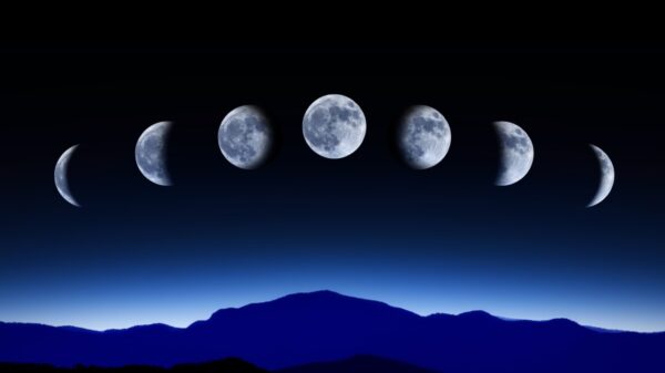 montagem de um céu noturno com todas as fases da lua