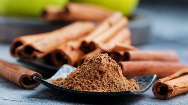 Sucesso na vida: saiba como e quando usar canela em rituais