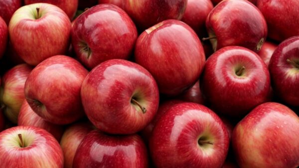 Aprenda simpatia com maçã para atrair a pessoa desejada