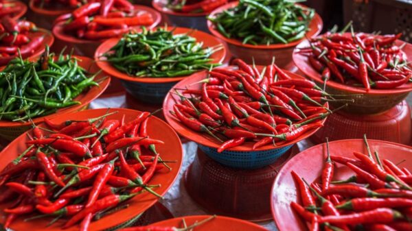 Descubra o poder de proteção da pimenta e como usá-la