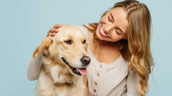 mulher jovem sorrindo e fazendo carinho em um cachorro grande de pelos loiros em fundo azul
