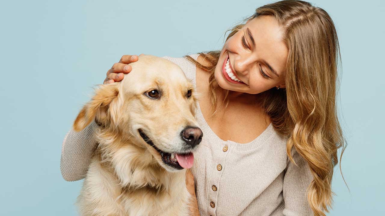mulher jovem sorrindo e fazendo carinho em um cachorro grande de pelos loiros em fundo azul