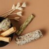 Veja 3 formas de usar Palo Santo para limpeza energética